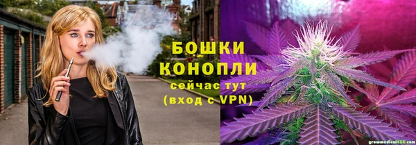 дурь Алзамай