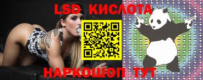 apvp Чебоксары
