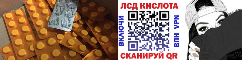 LSD-25 экстази кислота  Кондопога 