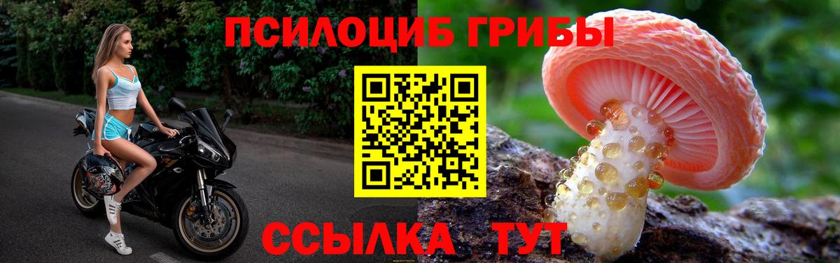 Галлюциногенные грибы мухоморы  Вход с VPN  Кондопога  Галлюциногенные грибы мухоморы 
